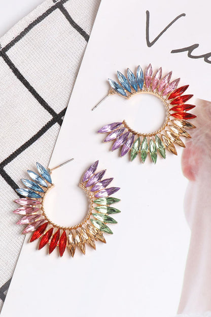 Acrylic Hoop Earrings